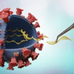 Estructura de una partícula viral