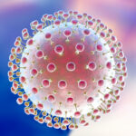 Proteínas de la cápside viral