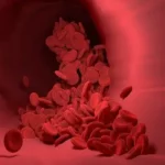 Volumen de sangre normal del adulto