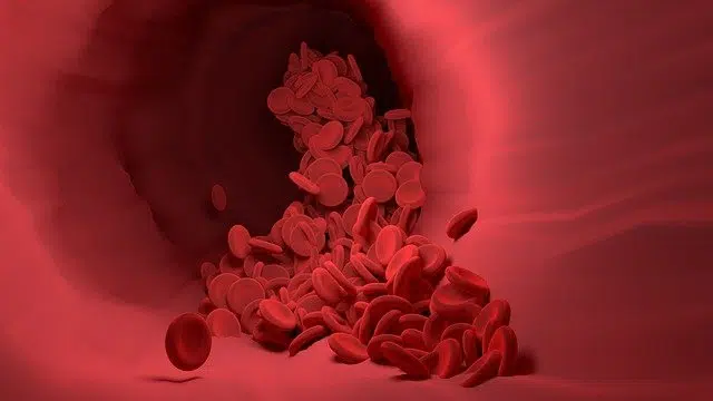 Volumen de sangre normal del adulto