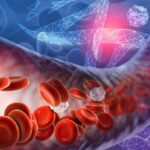 Funciones de la sangre