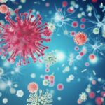Versatilidad de los virus para causar infección