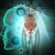 La fisiología humana es pilar de la medicina