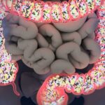 Microorganismos del aparato digestivo