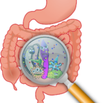 Diferencia entre microbioma y microbiota