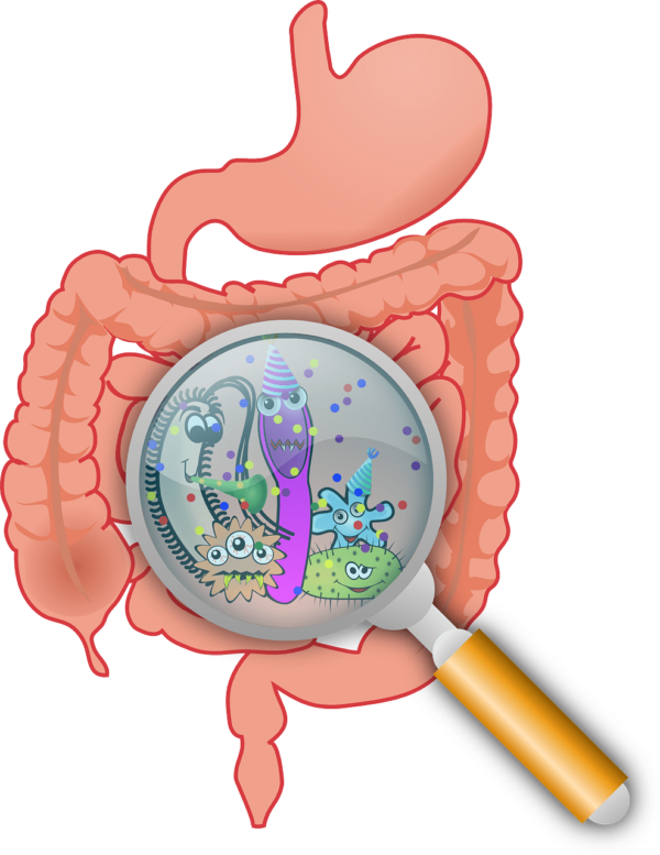 Diferencia entre microbioma y microbiota