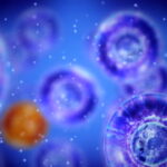 Contenido del líquido extracelular