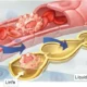 Circulación del líquido extracelular