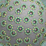 ¿Qué son los poros nucleares?