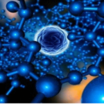 Técnicas auxiliares en biología celular y molecular