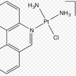 Peroxidasa de rábano para la detección de antígenos