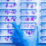 ¿Qué significa histología?