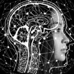 El cerebro alberga la mente y la consciencia