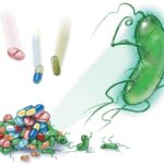 Resistencia bacteriana intrínseca
