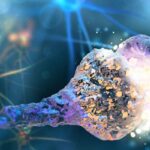 ¿Qué significa sinapsis?