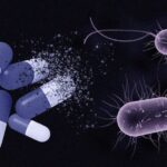 Procesos bacterianos, objetivo de los antibióticos