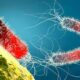 ¿Dónde se encuentra la Pseudomona aeruginosa?