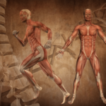 Importancia de la fisiología