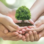 Factores medioambientales que impactan en la salud