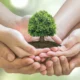 Factores medioambientales que impactan en la salud