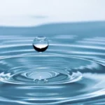 Valor biológico del agua