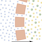 ¿Qué es la osmolalidad?