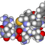 La osmolalidad estimula la secreción de vasopresina