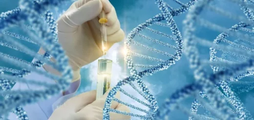 Papel de las pruebas genéticas en la medicina preventiva