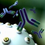 Tipos de respuesta inmunitaria