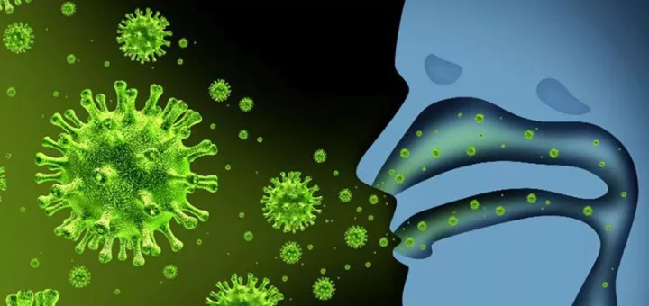 Tipos de virus de la gripe