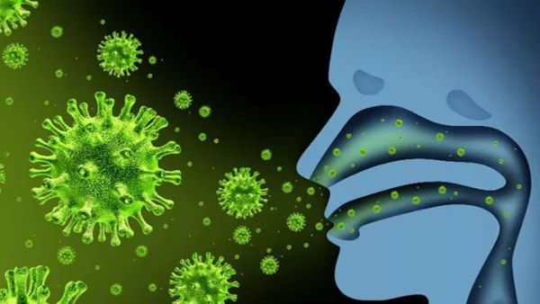 Tipos de virus de la gripe