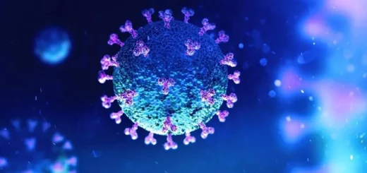 Coronavirus: estructura y composición