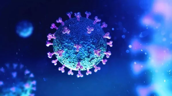 Coronavirus: estructura y composición