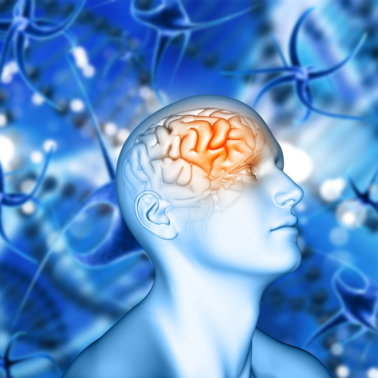 ¿Qué es la meningitis bacteriana?