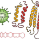 Virus, virusoides, viroides y priones