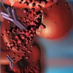 Tratamiento de la anemia hemolítica autoinmunitaria con anticuerpos calientes