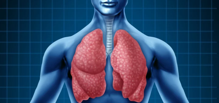 Función del sistema respiratorio