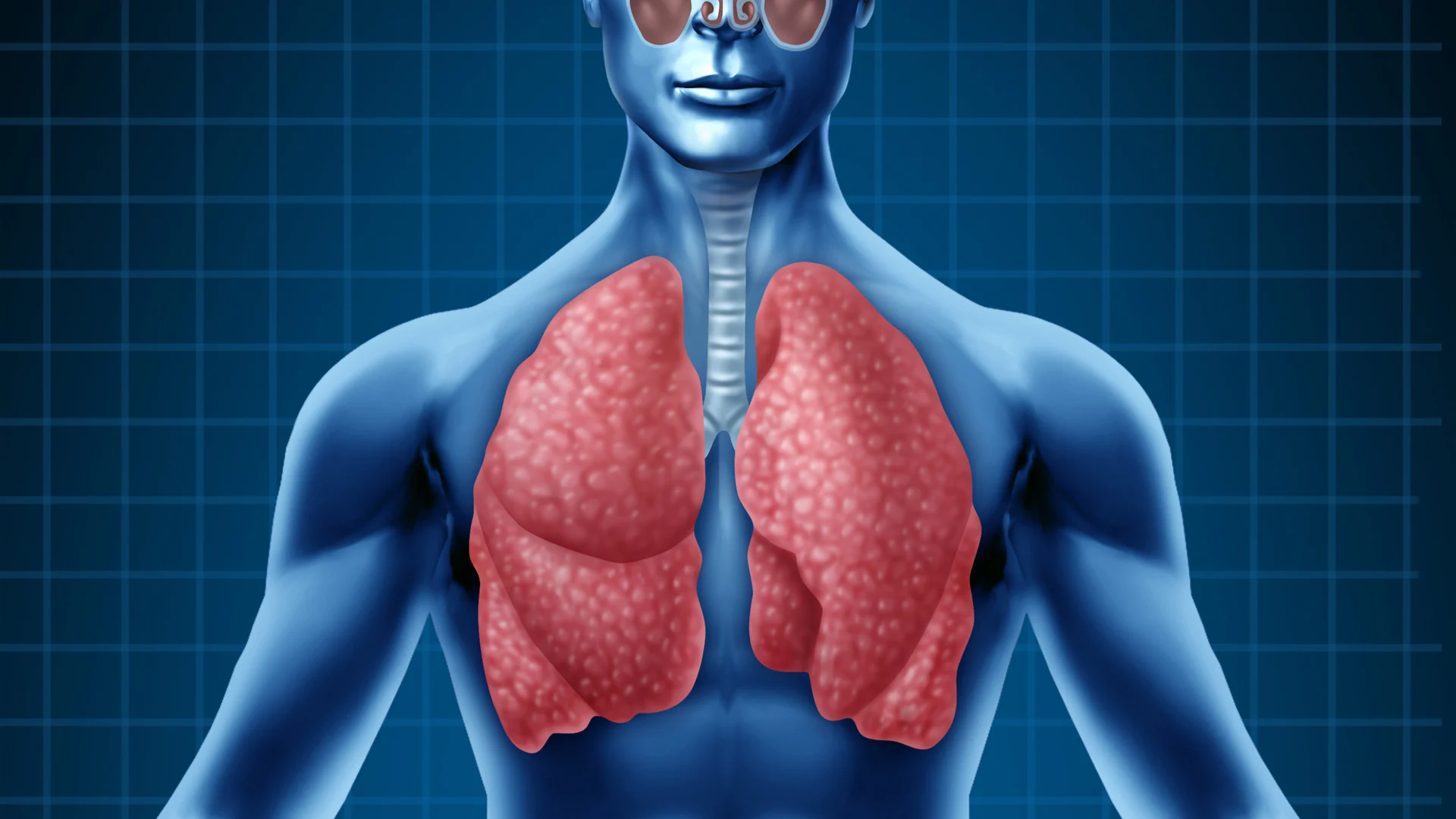 Función del sistema respiratorio