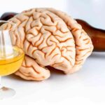 Efectos del alcohol en el organismo