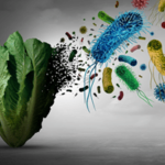 ¿Qué personas estan en riesgo de contraer listeriosis?