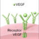 Agentes farmacológicos bloqueadores del VEGF