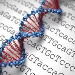 ¿Qué son los retrotransposones?