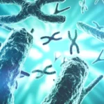 Clasificación de las aberraciones cromosómicas numéricas