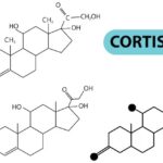 Mecanismos del cortisol en la inflamación