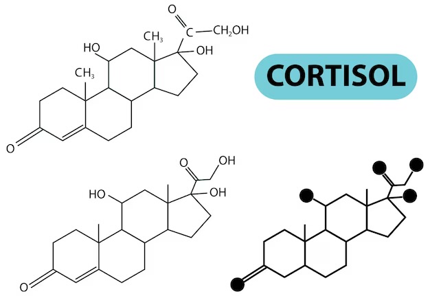 Alteraciones del cortisol en la insuficiencia suprarrenal