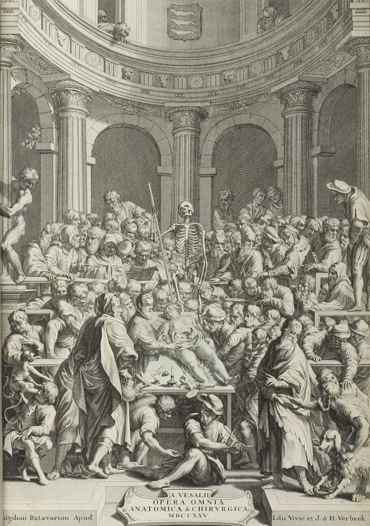 Vesalio llevó a cabo disecciones humanas públicas en Padua