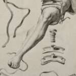 ¿Quién inventó el torniquete?