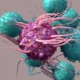 Las células dendríticas estimulan la respuesta inmunitaria