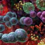 ¿Cuáles son las células presentadoras de antígenos?