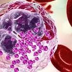 ¿Qué células son los precursores de los macrófagos?